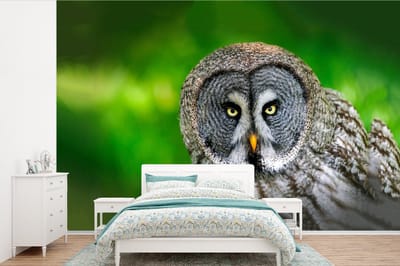 Behang - Fotobehang Vogel - Uil - Dieren - Bruin - Portret - Breedte 390 cm x hoogte 260 cm