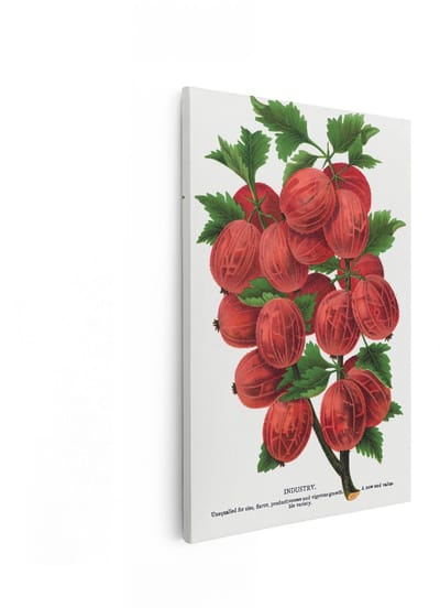 Artaza Canvas Schilderij Kruisbessen - 60x90 cm - Wanddecoratie Vintage Fruit - Muurdecoratie Botanisch - Decoratie Keuken Rood