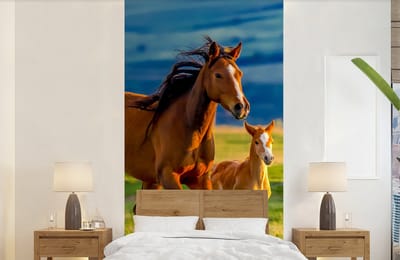 Behang kinderkamer - Fotobehang Paarden - Gras - Dieren - Landschap - Natuur - Breedte 120 cm x hoogte 240 cm - Kinderbehang