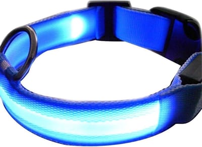 CHPN - LED-Halsband - Honden halsband - Halsband - Blauw - L - 45-52 cm - Dierenband - Collar - 2 stuks