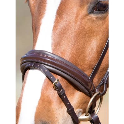 Halsband voor paard met vierkante messing gespen Kieffer Flash Comfort Paris Ii