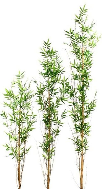Oriental Bamboe kunsttak recht 150cm