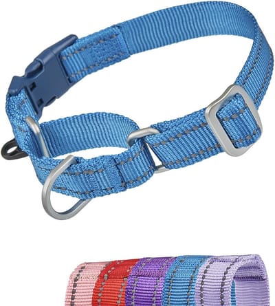 Reflecterende Martingale Halsbanden voor Honden - Ontsnappingsbestendig en Anti-Pull Training Kraag met Snelle Ontgrendeling