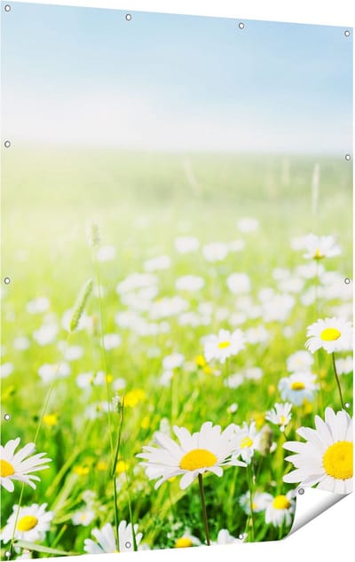 Gards Tuinposter Bloemenveld van Madeliefjes - Bloemen - 120x160 cm - Tuindoek - Tuindecoratie - Wanddecoratie buiten - Tuinschilderij