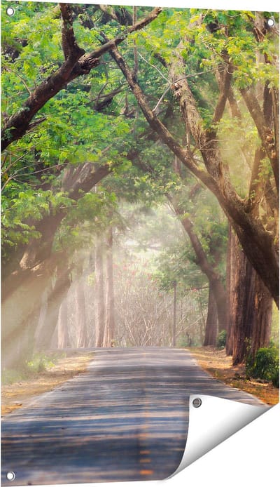 Gards Tuinposter Weg Omringd met Bomen - 60x90 cm - Tuindoek - Tuindecoratie - Wanddecoratie buiten - Tuinschilderij