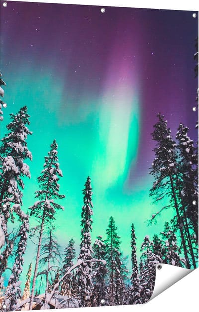 Gards Tuinposter Noorderlicht in de Bossen van Noorwegen - 90x120 cm - Tuindoek - Tuindecoratie - Wanddecoratie buiten - Tuinschilderij