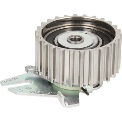Tandriempoelie SKF VKM 12173