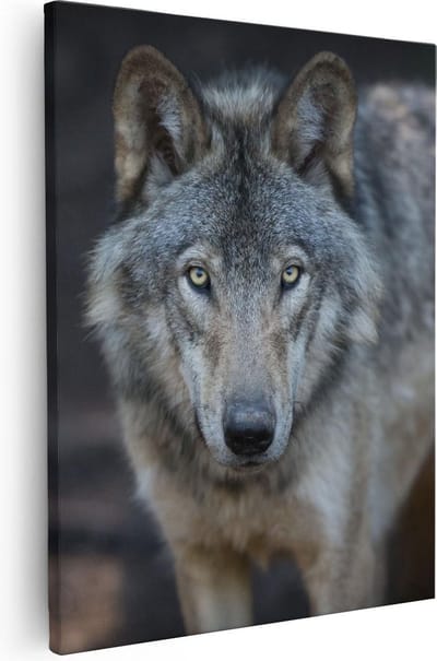 Artaza Canvas Schilderij Wolf - 80x100 cm - Groot - Wanddecoratie Dieren - Muurdecoratie Bos - Schilderijen Op Canvas