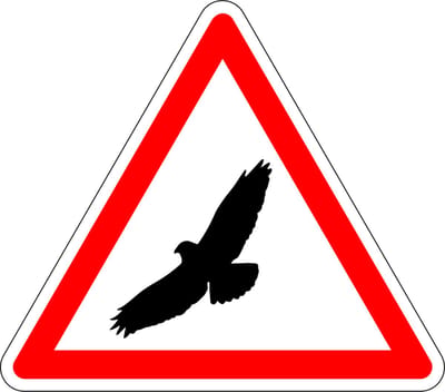 Pas op voor buizerd sticker 100 mm