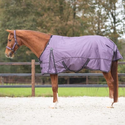 Regendeken luxe 150gram 1200D Amethyst