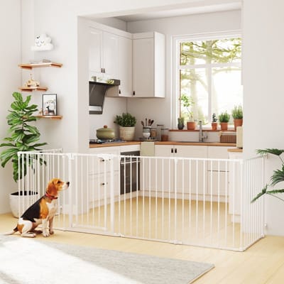 MIVRAY Hondenhek - 6 Panelen Met Deur En Vouwbaar Ontwerp - 75 cm - Staal En Kunststof - Wit - Voor Kleine En Middelgrote Honden