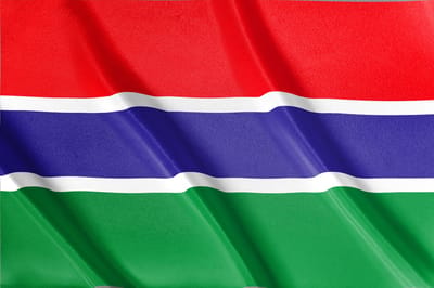 Vlag Gambia | Gambiaanse vlag |  Alle Afrikaanse vlaggen | 52 soorten vlaggen | 200x100cm