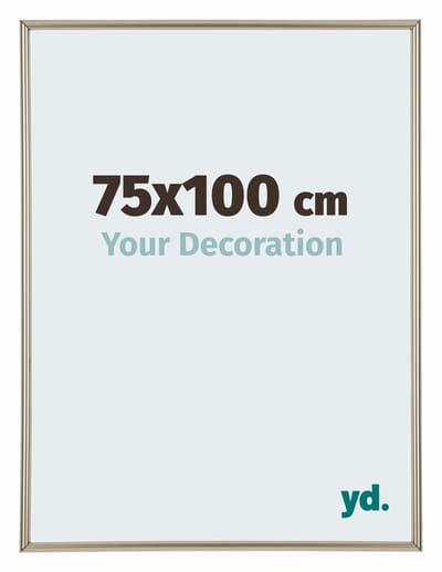 Your Decoration - Fotolijst 75x100 cm - Kunststof - Champagne - Annecy