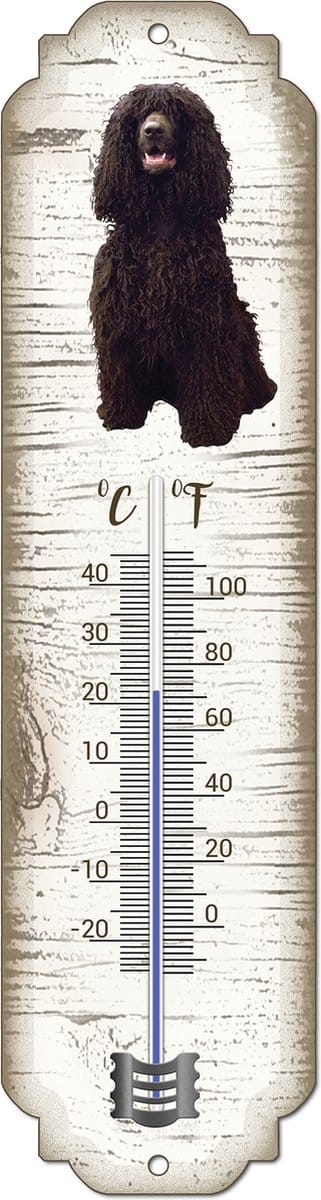 Thermometer: Ierse Water Spaniel | Hondenras | Temperatuur binnen en buiten | -25 tot +45C