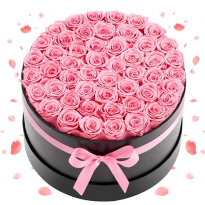 VEVOR Forever Flowers, 50 Gepreserveerde Rozen in een Doos, Eeuwige Bloemen Onvergankelijke Boeket Verjaardagscadeau voor Prime Levering Vrouwen Haar Vrouw Moeders, Jubileum, Valentijnsdag, Kerstmis, Zachte Paars