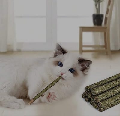 6 x Kattenstokjes met catnip - kattenkruid - Smartkabel.nl - ultieme speeltje - spelen - gezond - natuurlijk