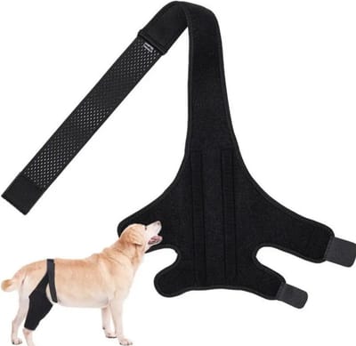 Hondbrace, Hond ondersteuning, hond brace, braces, dogs braces, hond bandage, honden brace, halsband, harnas, dog knee pad support, hond protector maat M, hond heup brace, hond knie protector, hond knie brace, honden beugel, honden knie spalk, steun.