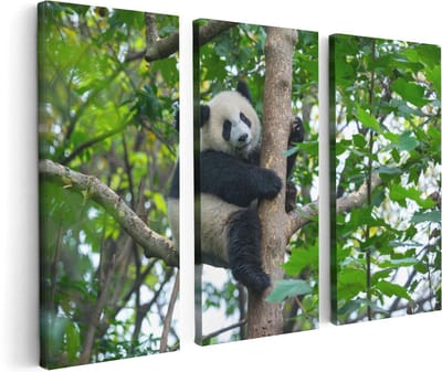 Artaza Canvas Schilderij Drieluik Panda in de Bomen - 120x80 - Foto Op Canvas - Canvas Print