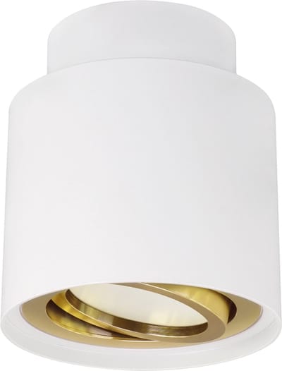 HARIET C - Opbouwspot - Rond - GU10 Fitting - 1 Lichtpunt - past over centraaldoos - Wit / Goud kleur - plafondspot - Spotjes voor woonkamer, slaapkamer of keuken