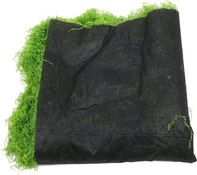 Kunstgras Mat - Nep Mos - Decoratief Gebruik - Realistisch Gedetailleerd - 50x50 cm - Lichtgroen