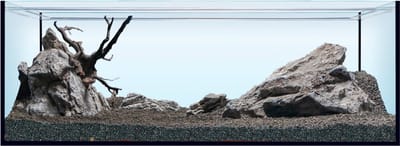 Sera Hardscape Shrimp XXL