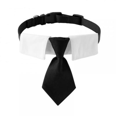 Solidchoice - Dailygoody - Hondenhalsband - Verstelbare Stropdas - Formele
