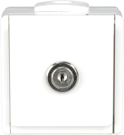 Afsluitbare Stopcontact met Klapdeksel - 1-voudige Opbouw, Poolwit, Spatwaterdicht, 250V, 16A