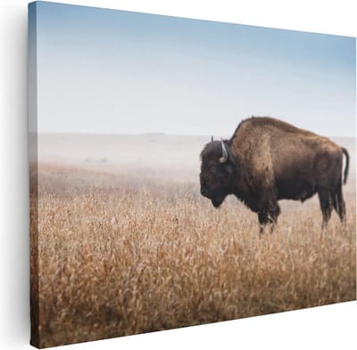 Artaza Canvas Schilderij Buffel - 40x30 cm - Klein - Wanddecoratie Wilde Dieren - Muurdecoratie Natuur - Kamer Accessoires Landschap
