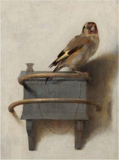 Softcover kunst schetsboek,Carel Fabritius, Het Puttertje