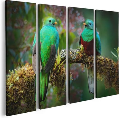 Artaza Canvas Schilderij Vierluik Twee Groene Quetzal Vogels Op Een Tak - 80x60 - Foto Op Canvas - Canvas Print