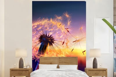 Behang - Fotobehang Paardenbloem - Bloemen - Zonsondergang - Horizon - Nacht - Breedte 155 cm x hoogte 240 cm