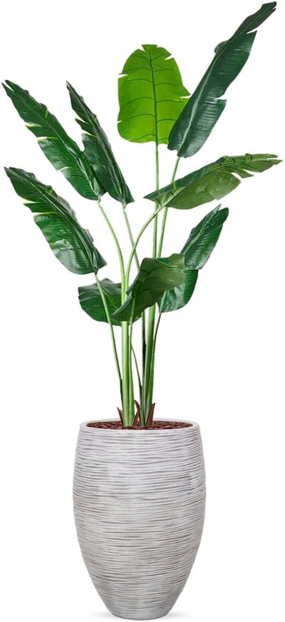 Kunstplant Strelitzia in Vaas elegant Rib ivoor H210 cm