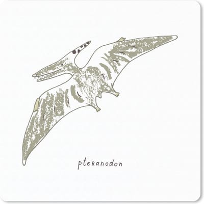 Muismat 20x20 cm - Mousepad Kinderkamer - Pteranodon - Dinosaurus - Jongens - Meid - Kinderen - Kids - Muismatten