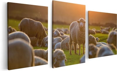 Artaza Canvas Schilderij Drieluik Kudde Schapen bij Zonsondergang - 120x60 - Foto Op Canvas - Canvas Print
