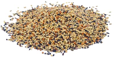 Bird-X Vogelvoer - Volière Mengeling - 5 kg