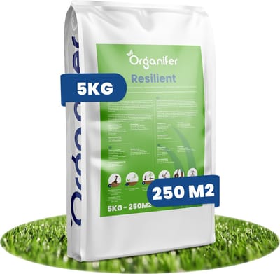 Graszaad Speelgazon Snelkiemend (5kg, 250m2) Organifer - Gazonzaad - Speelgazon Graszaad - Graszaden - Gras Zaad - Graszaad Sportgazon en Speelgazon - Zelfherstellend - Hoge Betredingstolerantie - NAK Gecertificeerd