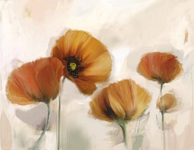 Fotobehang - Poppies - vintage.