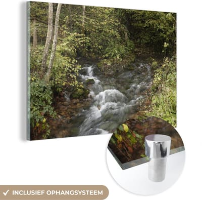 ® Glasschilderij 180x120 cm - Schilderij acrylglas - Kupa-rivier in het boslandschap van het Nationaal park Risnjak in Kroatië - Foto op glas - Muurdecoratie woonkamer - Wanddecoratie slaapkamer - Schilderijen