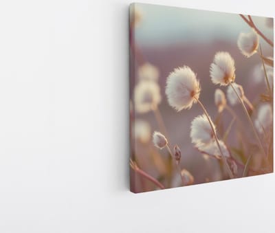 Saammp Canvas Schilderij - Fluffy - Bloemen - Natuur - 20x20 - Foto op canvas - Wanddecoratie - Muurdecoratie Woonkamer - Kantoor Decoratie