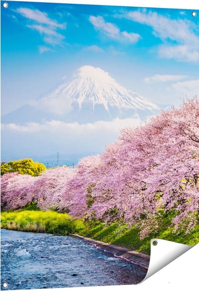 Gards Tuinposter Roze Bloesembomen bij de Fuji Berg - 80x100 cm - Tuindoek - Tuindecoratie - Wanddecoratie buiten - Tuinschilderij