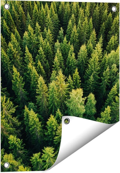 Gards Tuinposter Bos met Bomen vanaf Boven - 40x50 cm - Tuindoek - Tuindecoratie - Wanddecoratie buiten - Tuinschilderij