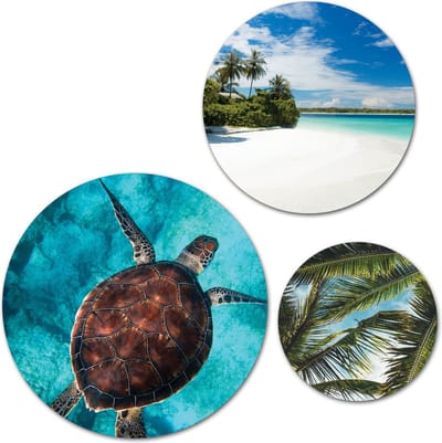 Forex Muurcirkel Set -  Set Tropische Schildpad, Palmbomen en Wit Zandstrand  - Set van 3 Wandcirkels met Ophangsystemen - 30x40x50