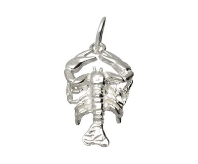 Zilveren Sterrenbeeld Kreeft ketting hanger - groot
