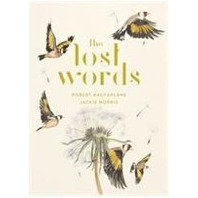 The Lost Words door Jackie Morris Hardback Boek 9780241253588