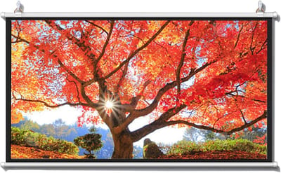 Projectiescherm - Filmscherm HD - Home Cinema - Ontspiegeld Beeld - 60 inch - Wit