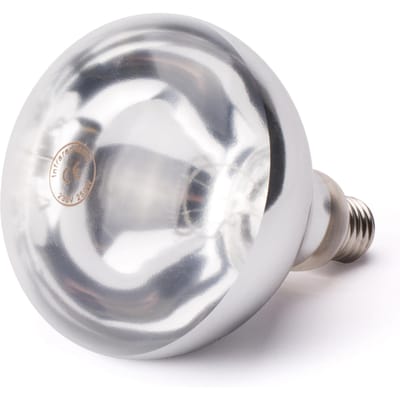 HENDI Infrarood warmtelamp – helder wit licht – versplinteringsbestendig – E27 fitting – 250W – wit