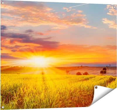 Gards Tuinposter Zonsopgang op het Ma�sveld - 100x80 cm - Tuindoek - Tuindecoratie - Wanddecoratie buiten - Tuinschilderij