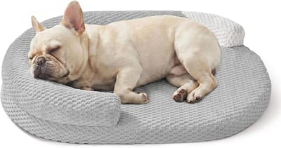 LISM-Orthopedisch hondenbed, middelgroot, waterdicht en wasbaar, ovaalvormig, met afneembare hoes, eivormig, hondenbed van traagschuim, met zijkussens en antislip onderkant, lichtgrijs, 40×60 cm.