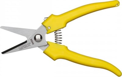 Oasis alles knipper