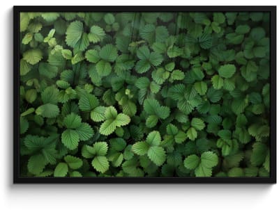 Poster in lijst - Fotolijst 90x60 cm - Posters - Groen - Bladeren - Kartel - Zonlicht - Posterlijst zwart - Decoratie - Wanddecoratie woonkamer - Muurdecoratie slaapkamer